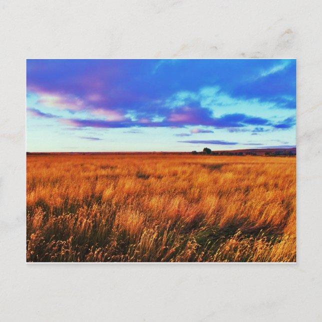 Prairie Sunset Postkarte (Vorderseite)