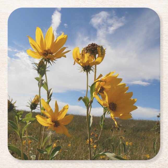 Prairie Sunset Square Paper Untersetzer (Vorderseite)