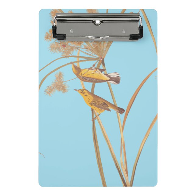 Prairie Warbler Audubon Yellow Bird Mini Klemmbrett (Vorderseite)