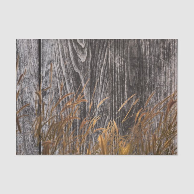 Prairie Wheat on Stall Board Seidenpapier (Vorderseite)