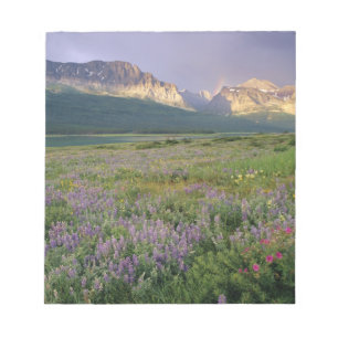 Prairie-Wildblumen entlang des Lake Sherbourne in Notizblock