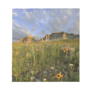 Prairie-Wildblumen im Many Glacier Valley bei Notizblock