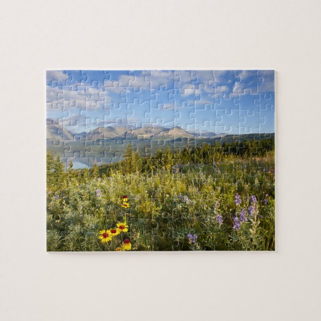 Prairie-Wildblumen und Lower Two Medicine Lake (Horizontal)