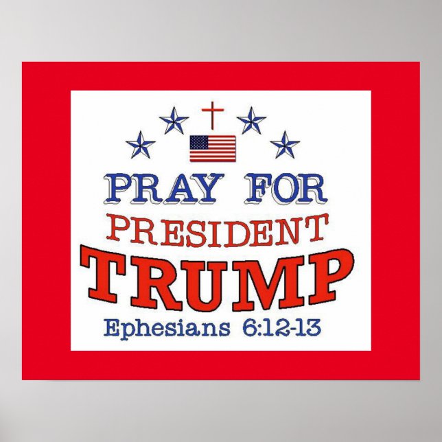 PRAKTIKEN FÜR TRUMP POSTER (Vorne)