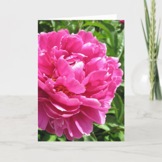 Praktisch perfektes Peony Karte