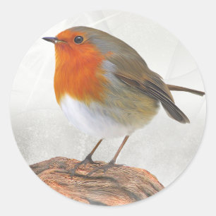 Praller Robin Redbreast Runder Aufkleber