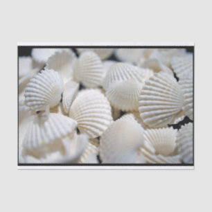 Prämie der Muscheln Seidenpapier