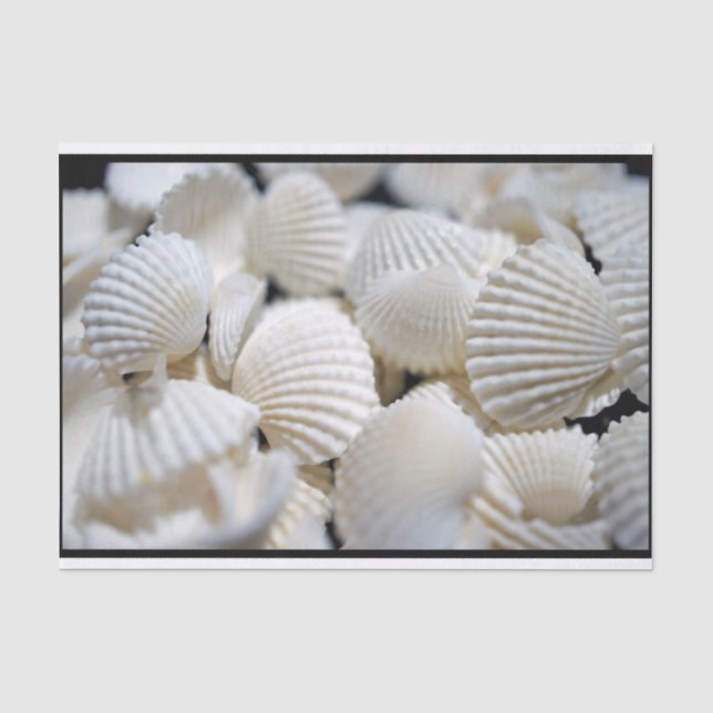 Prämie der Muscheln Seidenpapier (Vorderseite)