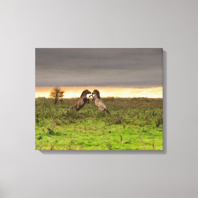 Prancing Pferde Leinwand (Vorderseite)