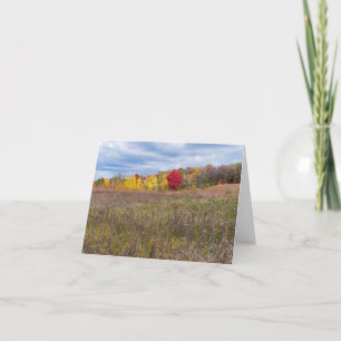 Prärie-Landschaft im Herbst im Park von afton Staa Feiertagskarte
