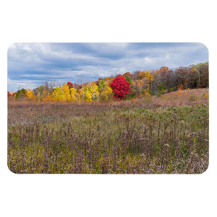 Prärie-Landschaft im Herbst im Park von afton Staa Magnet