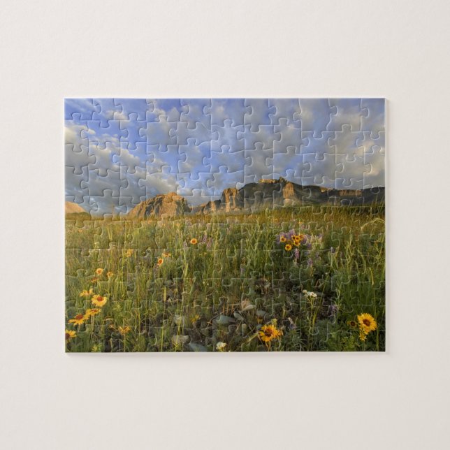Prärie-Wildblumen im Gletschertal (Horizontal)