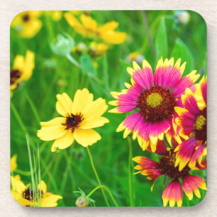 Prärie-Wildblumen im Hill Country Getränkeuntersetzer