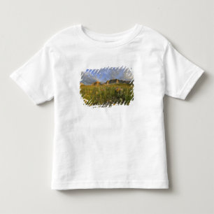 Prärie-Wildblumen im Many Glacier Valley bei Kleinkind T-shirt
