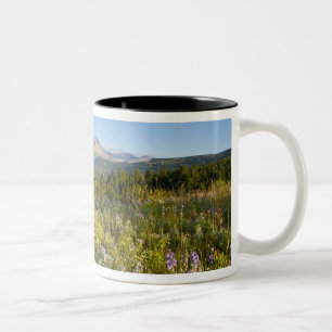 Prärie-Wildblumen und Lower Two Medicine Lake Zweifarbige Tasse
