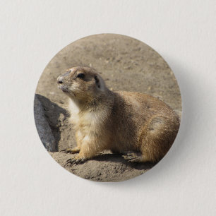 Präriehund-Knopf Button