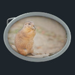 Präriehund Ovale Gürtelschnalle<br><div class="desc">Präriehund. Dieses niedliche Geschöpf ist gerade zu nettem und scheint geschmeichelt zu werden, während ich dieses Bild nahm. I gerade gelassen ihm, allein wie er sein Frühstück genießt. Wiki: Präriehunde (Klasse Cynomys) graben die Nagetiere, die zu den Wiesen von Nordamerika gebürtig sind. Präriehunde werden für ihren Lebensraum- und Warnungsanruf genannt,...</div>