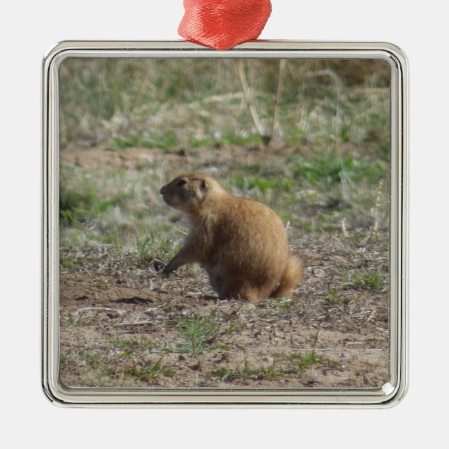 Präriehund-Weihnachtsverzierung Silbernes Ornament (Vorne)