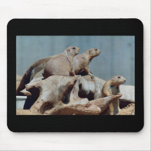 Präriehunde Mousepad