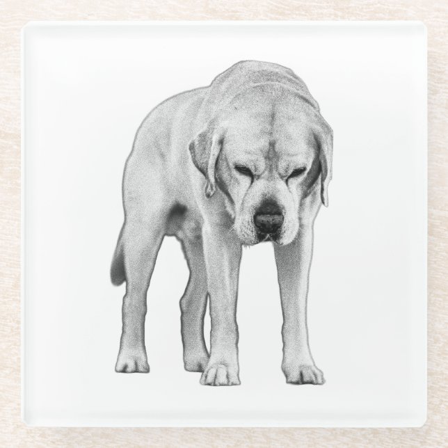 Präsenz Glasuntersetzer (Vorderseite)