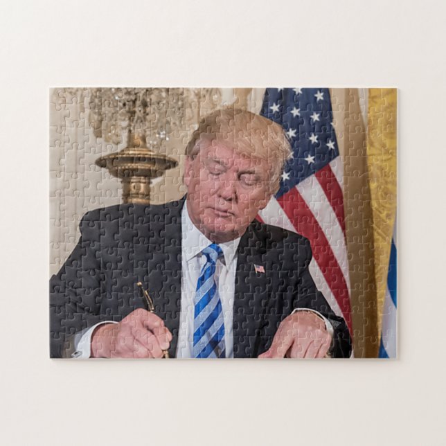 Präsident Donald Trump (Horizontal)