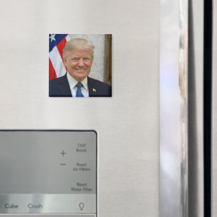Präsident Donald Trump Offizielles Portrait 2017 Magnet