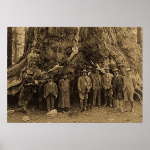Präsident Roosevelt und John Muir California Sepia Poster