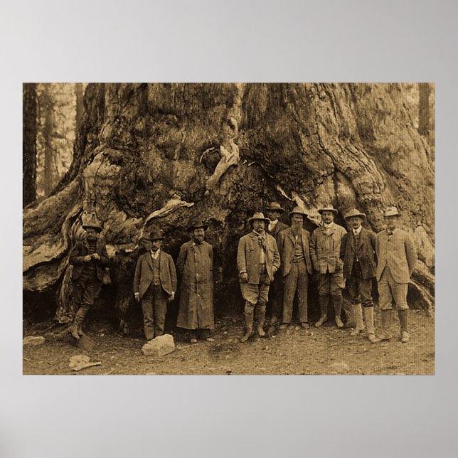 Präsident Roosevelt und John Muir California Sepia Poster (Vorne)