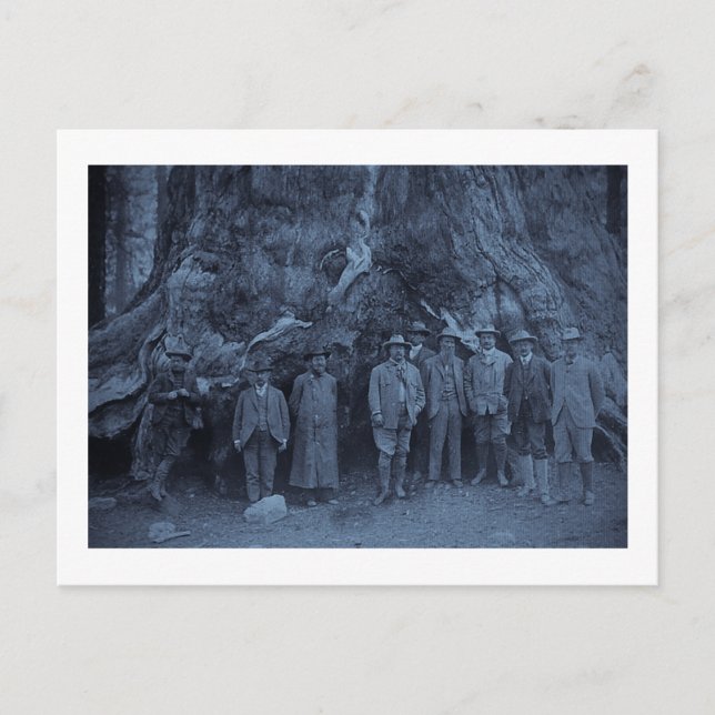 Präsident Roosevelt und John Muir    (Cyan) Postkarte (Vorderseite)