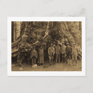 Präsident Roosevelt und John Muir darunter (Sepia) Postkarte