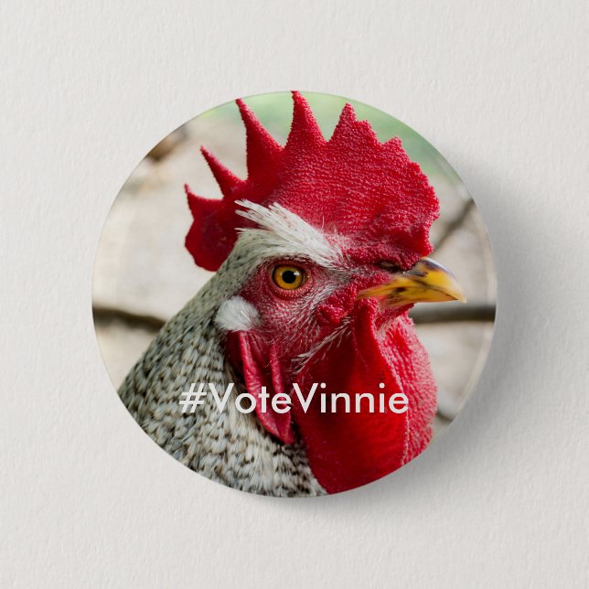 Präsidentschaftsanwärter Vinnie Kampagnen-Knopf Button (Vorderseite)