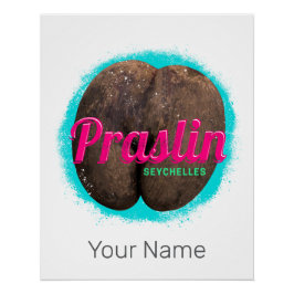 Praslin Seychelles Indischer Ozean Vintag Souvenir Poster