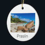 Praslin Seychelles Island Anse Lazio Beach Geschen Keramik Ornament<br><div class="desc">Praslin Seychelles Anse Lazio Strand Insel Design für Urlaub. Praslin Insel Seychelles Indischer Ozean Insel Vintage Souvenirs für Reisen auf La Digue und Anse Lazio. Praslin Strandkunst mit Kokosnuss für Mahe und Urlauber und Rucksacktouristen. Praslin Anse Lazio Strand auf den Seychellen im Indischen Ozean Retro Souvenir. Seychellen Design für Backpacker...</div>