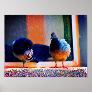Präventivtauben Poster