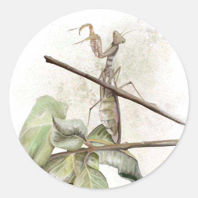 Pray Mantis Aqucolor Runder Aufkleber (Vorderseite)