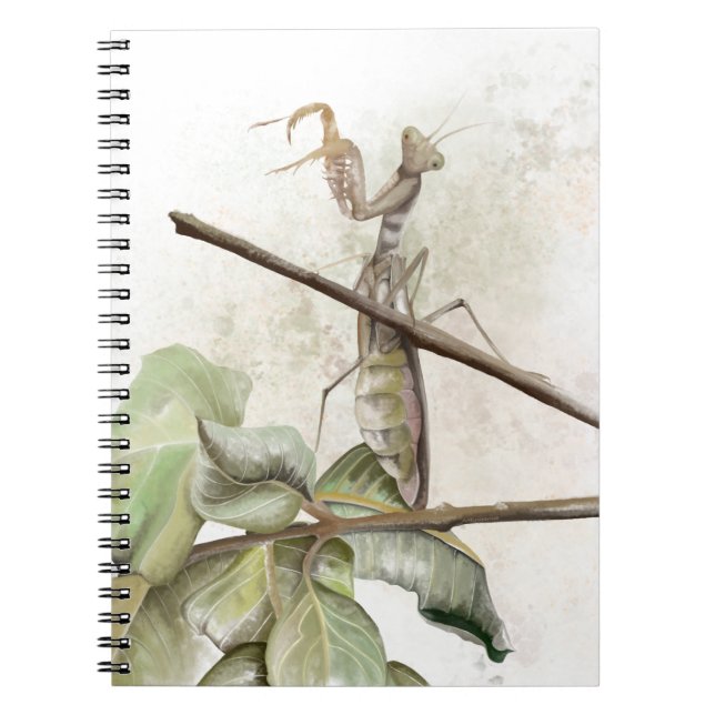 Pray Mantis watercolor  Notizblock (Vorderseite)