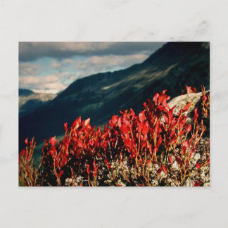 PRAYER POSTKARTE