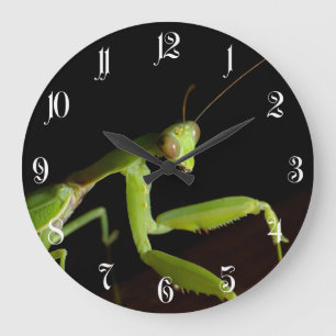 Praying mantid große wanduhr