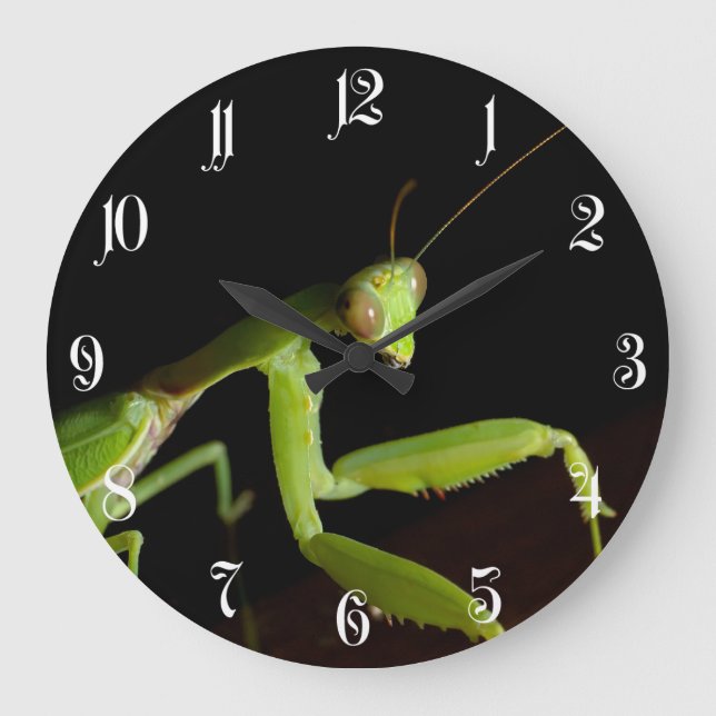 Praying mantid große wanduhr (Vorderseite)