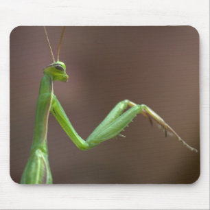 Praying Mantid Mousepad