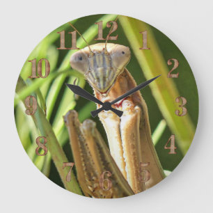 Praying Mantis Große Wanduhr