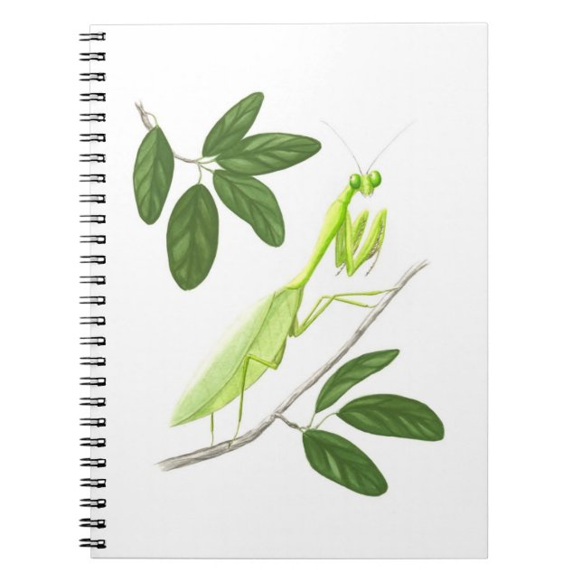 Praying Mantis-Notebook Notizblock (Vorderseite)