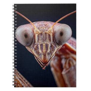 Praying Mantis Portrait-Notebook Notizblock