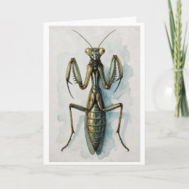 Praying Mantis watercolor painting insect art  Karte