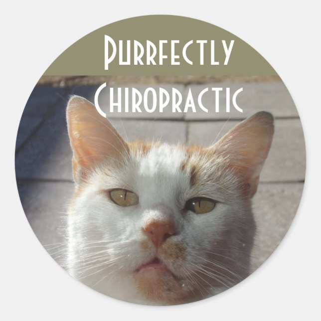 Präzise Chiropraktische Aufkleber (Vorderseite)