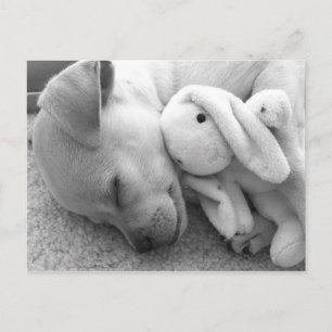 PRECIOUS PUPPY MOMENT POSTKARTE