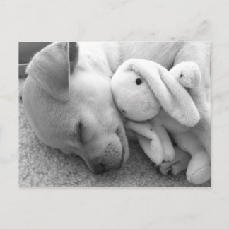 PRECIOUS PUPPY MOMENT POSTKARTE
