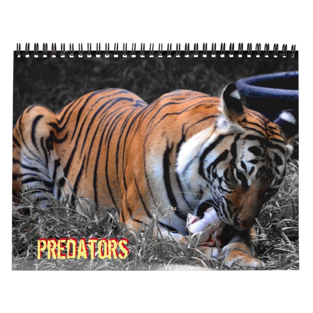 Predator-Kalender Kalender (Titelbild)