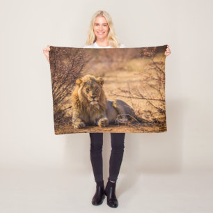 Predator Lion in Südafrika Fleecedecke