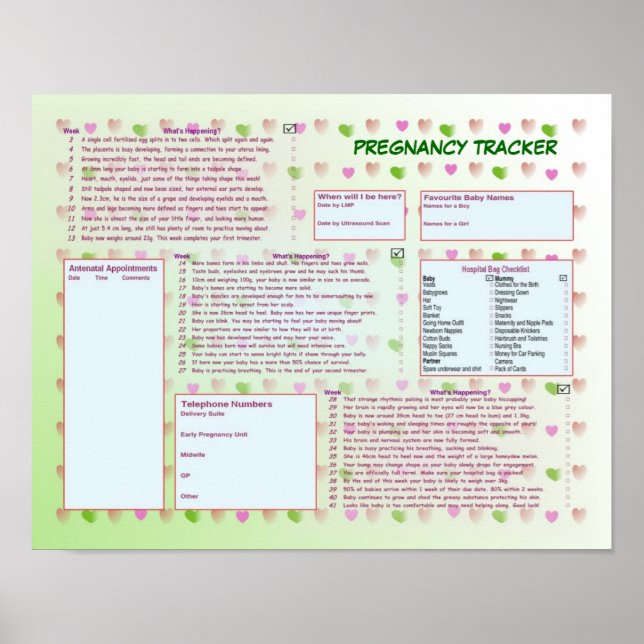 Predicancy Tracker Poster (Vorne)